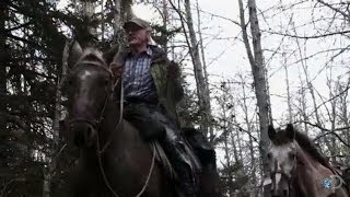 Blazing A Trail Alaska The Last Frontier