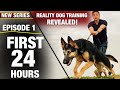 First 24 Hours with a TOTALLY UNTRAINED DOG! NEW SERIES: Reality Dog Training Episode 1