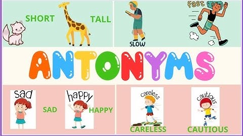 ANTONYMS | CÁC CẶP TỪ TRÁI NGHĨA | MOONSUN ENGLISH | #antonyms