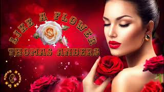 Thomas Anders 💥Like a Flower 💢 Romeo.B 💢