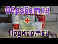 Виноград .Обработка после цветения. Третья ,лечебно-профилактическая .