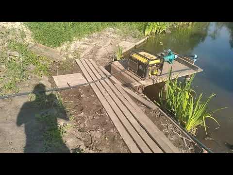 МЕДВЕЖИЙ ОРЕХ.0682442195.САДЖАНЦЫ.СЕЯНЦЫ.Питомник МЕДВЕЖЕГО