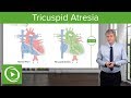 Tricuspid Atresia – Pediatric Cardiology | Lecturio