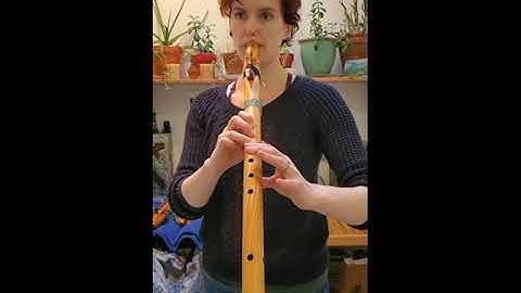 Native American Style Flute | Key of F#  | #3306 Western Red Cedar