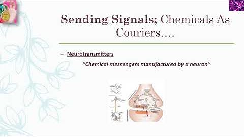 Communication between neurons | in urdu/Hindi language | by dear knowledge