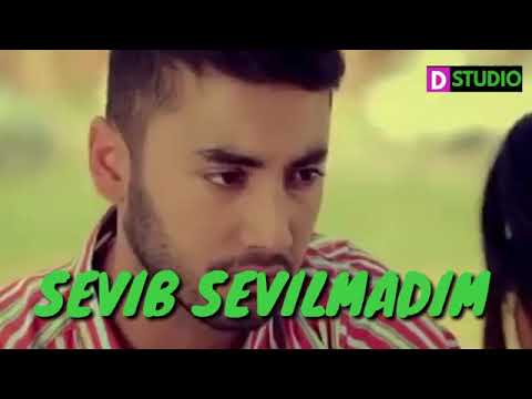 SEVIB SEVILMADIM SEVGILIM nev2019