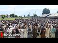 Srinagar: Eid-ul-Adha Prayers Held at Hazratbal Shrine