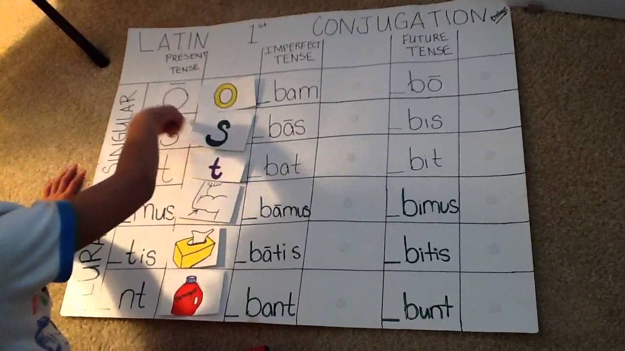 latin endings test onliny latin endings test onliny