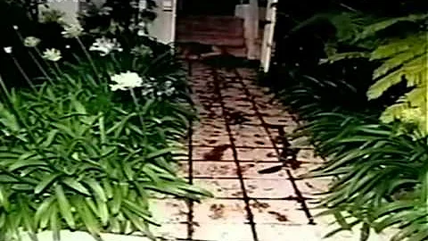 The Story of OJ Simpson english documentary Part 1