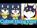 【Nijisanji】Shiba is the cutest in Nijisanji. Because Shiba is a dog【Kuroi Shiba】VTuber sub