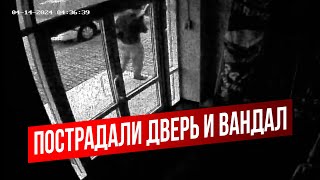 Очередное нападение на штаб Липецкого обкома КПРФ зафиксировала камера. 18+