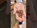 L'astuce pour bien doser son café ☕ | Pourdebon