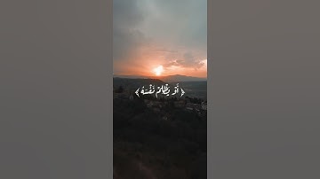 أستغفر الله العظيم وأتوب إليه #تلاوات #القرآن_الكريم