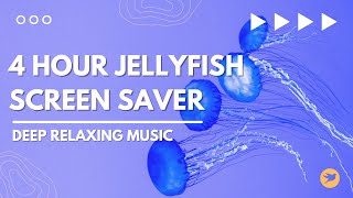 4 Hour Jellyfish Compilation ~ Relaxing Music for Sleep, Study, Meditation \& Yoga • Screensaver