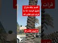 اقسم بالله ماراح تذوق الراحه إذا ما قرأت انت كتاب الله