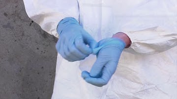 BMFS field protocol - Sample collection