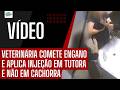 VETERINÁRIA COMETE ENGANO E APLICA INJEÇÃO EM TUTORA E NÃO EM CACHORRA.
