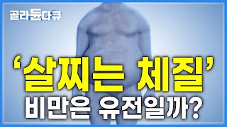 '비만일 수밖에 없는 몸' 우리는 왜 살이 찌는 걸까?│'알아야 뺀다'  비만 유전자의 비밀│다이어트 혁명│요요 없이 살 빼기│다큐프라임│#골라듄다큐