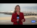 Rangers race to vaccinate penguins for H5 bird flu on Phillip Island | ABC NEWS