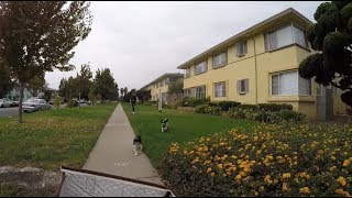 CRAZY OLD LADY on Mobility Scooter Compilation (Mobility Mary Compilation)