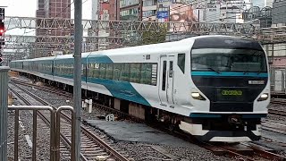 E257系2000番台NA10編成 特急踊り子5号伊豆急下田行8095M 新宿駅6番線へ向かって走行するシーン 良いジョイント音! 2024,2/4