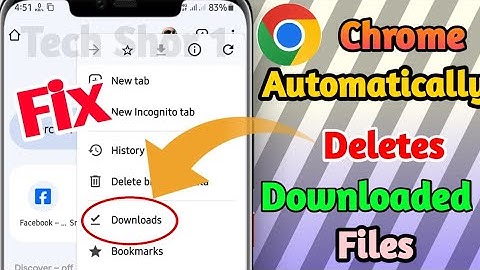 How to Fix Chrome Automatically Deletes Downloaded Files