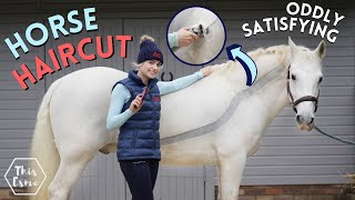 HORSE HAIRCUT | Clipping my horse MYSELF! Oddly Satisfying | This Esme