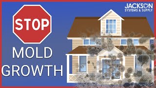 How To Stop Mold Growth in The Winter in Your Home