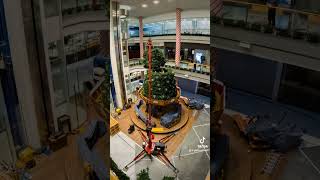 Weihnachtsbaum in Glatt weihnachten timelapse