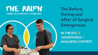 The Before, During and After of Surgical Emergencies - ECC/Anaesthesia Veterinary CPD by The Ralph Veterinary Referral Centre 382 views 5 months ago 1 hour, 8 minutes