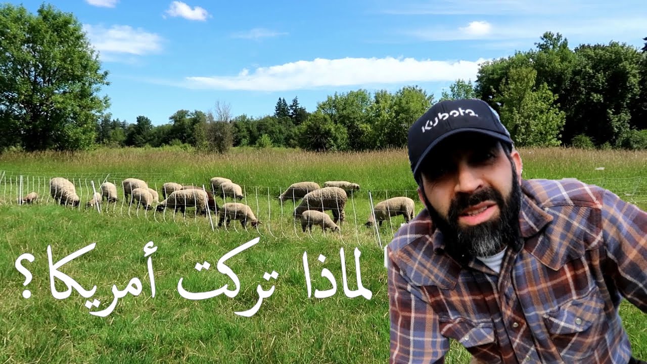 لماذا تركت أمريكا؟