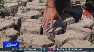 Dried up lakes now tinderboxes as drought and heatwaves impact Hungary