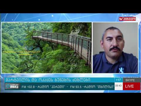 მარტვილის და ოკაცეს ბუნების ძეგლები