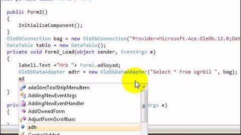 Kayıtları DataGridView
