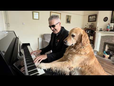 Boogie Woogie Dogs Vs. Artificial Intelligence