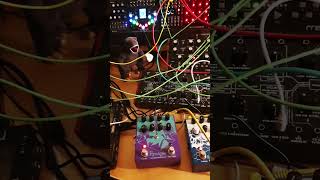 Quick patch #electronicmusic #synth #moog #eurorack #earthquakerdevices #livemusic