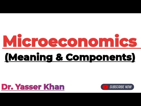 Microeconomics (Class 11 CBSE)
