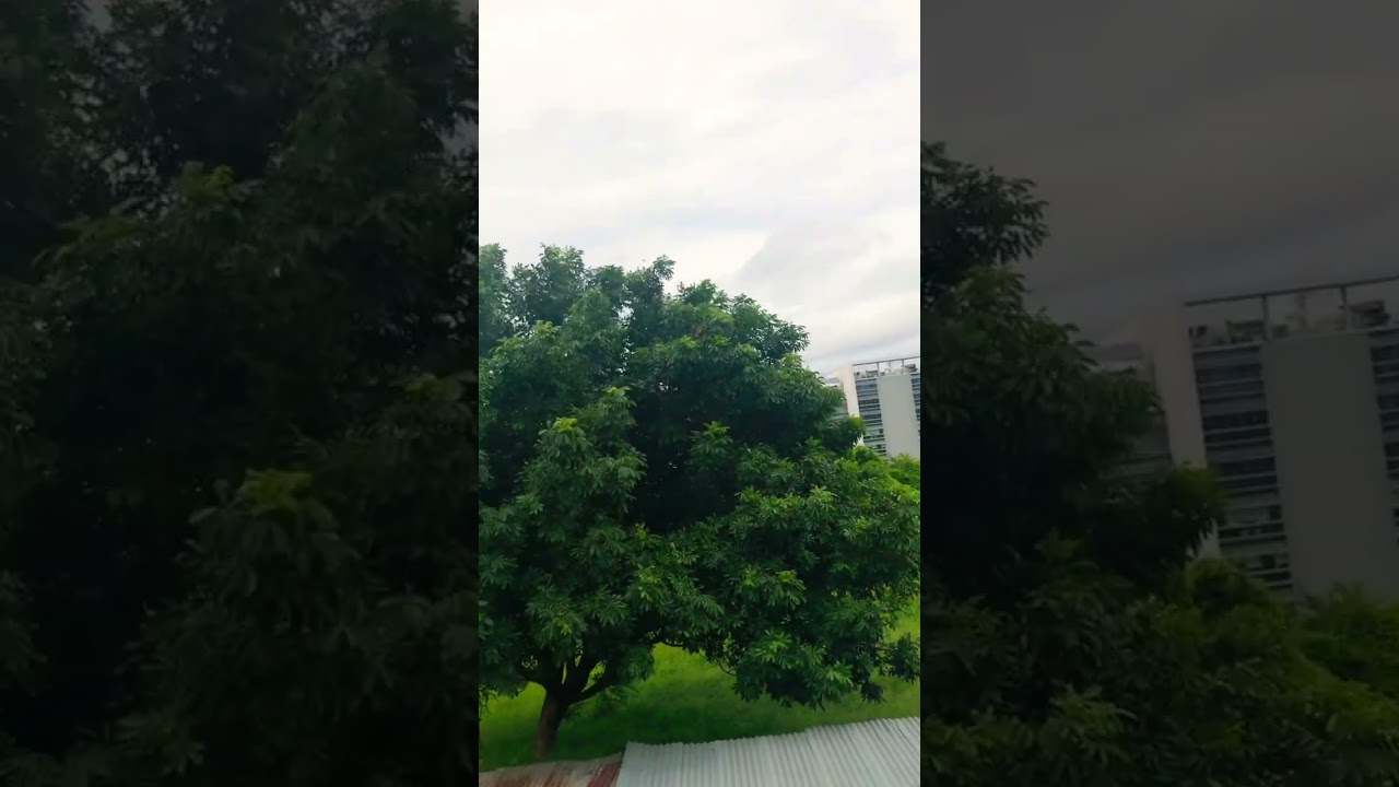 Thunderstorm #thunder  #windy  #maputo  #mozambique