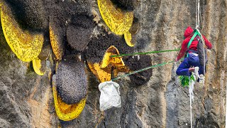 A Day in Life of Honey Harvester Extracting Wild Honey in Extreme Condition