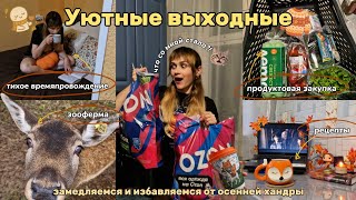 ДНЕВНИК ОСЕННИХ ВЫХОДНЫХ🍂🦌:зооферма/рецепты/Гарри Поттер/ домашние дни,тиштна,уют и расслабление✨️