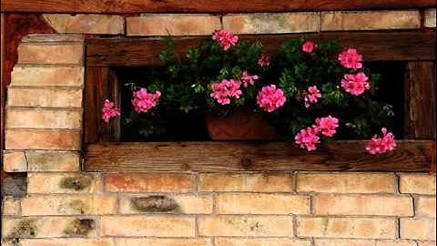 سورة العاديات احلى صوت شيخ سديس