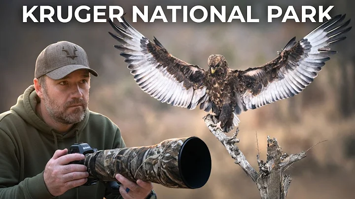 Wildlife Photography Hides A Chaotic Reality (Kruger National Park BTS) thumbnail