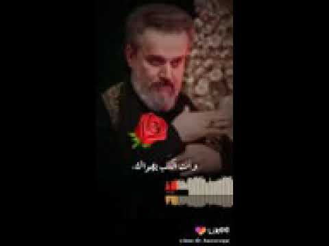 منين اجيبن بعد مثلك حبيب و سند 