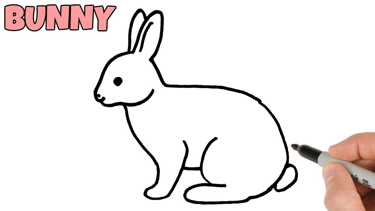 Simple Rabbit Outline Drawing - ezzeyn