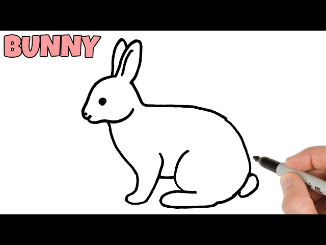 How to Draw a Bunny • Step-By-Step Instructions