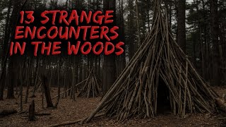 13 Strange Encounters in the Woods - #2