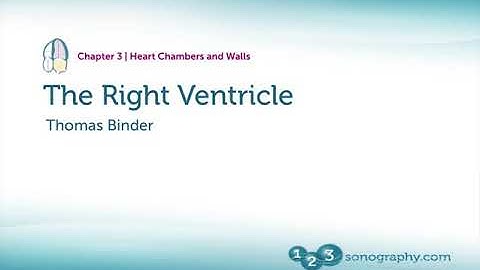 Right Ventricle ECHOCARDIOGRAPHY images and Examples