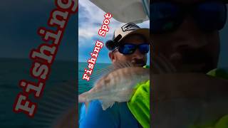 Fishing Sport #AmazingCatch #FishingAddict #WildFishing #CatchAndCook #Shorts