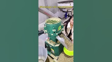 Type 300 feed pellet machine, with an output of 800-1000 kilograms per hour, I am the manufacturer