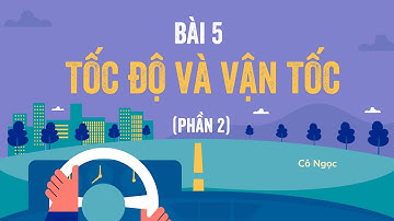 Bài 5: Tốc độ và vận tốc (phần 2) - Vật lí lớp 10 (Kết nối tri thức với cuộc sống) - OLM.VN